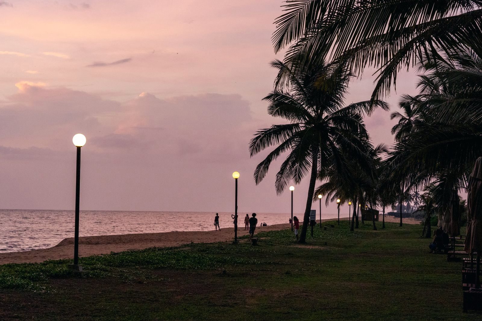 A seafront promenade at dusk — palms in silhouette and a receding row of lit globe lamps against a pink sky over flat water
